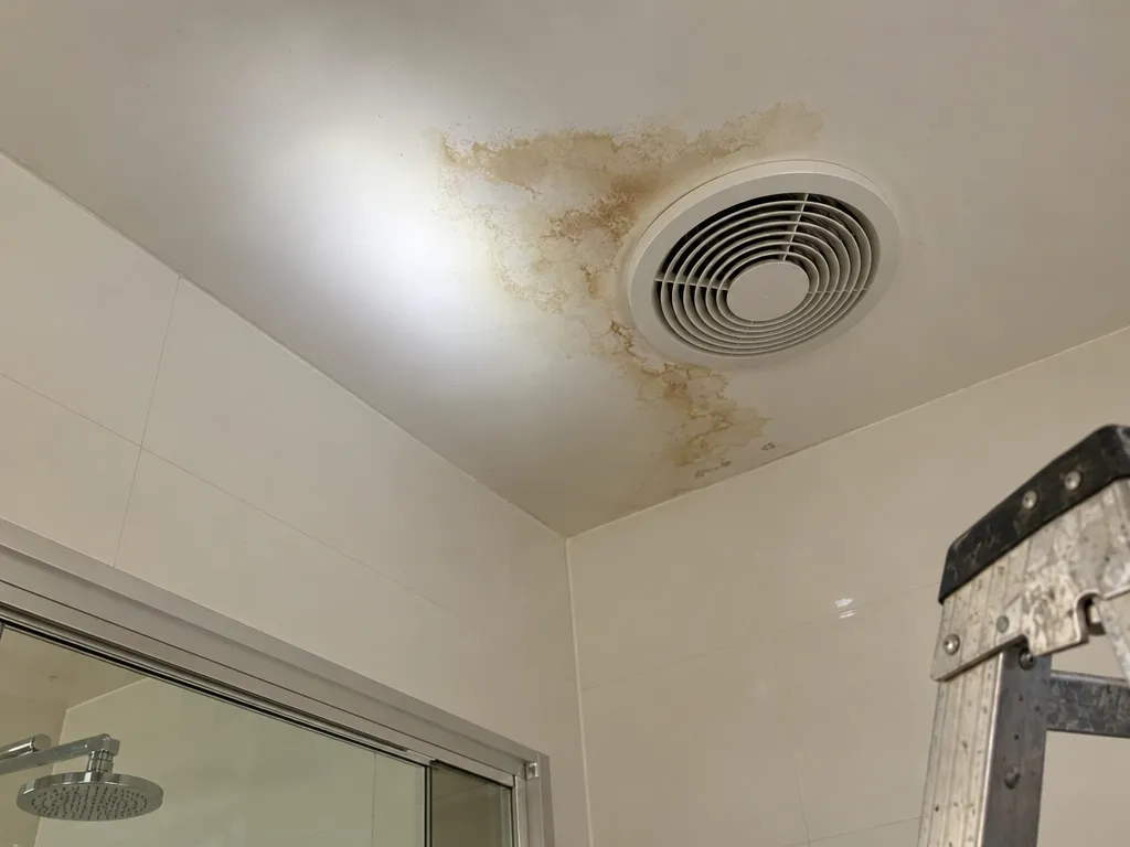 The corner of a unit bathroom ceiling in white plasterboard with a brownish water stain spreading out from beside a ceiling exhaust fan, a torch beam lighting the stain, and an aluminium step ladder at the edge of the frame
